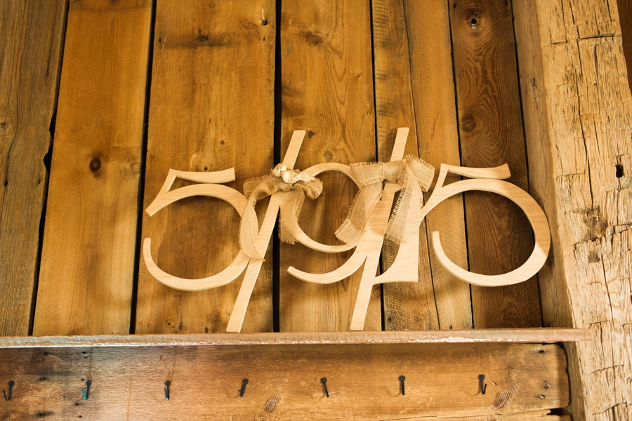 Amelita_Mirolo_Barn_wedding013