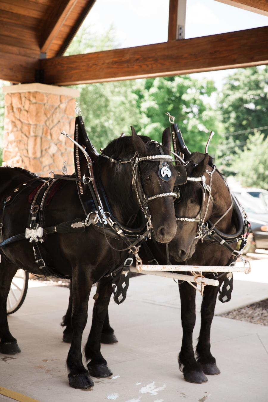 St_marys_wedding_photographer 82