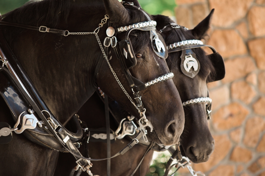 st_marys_ohio_wedding_photographer044