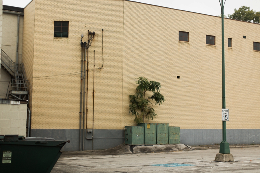 celinaohiowedding030