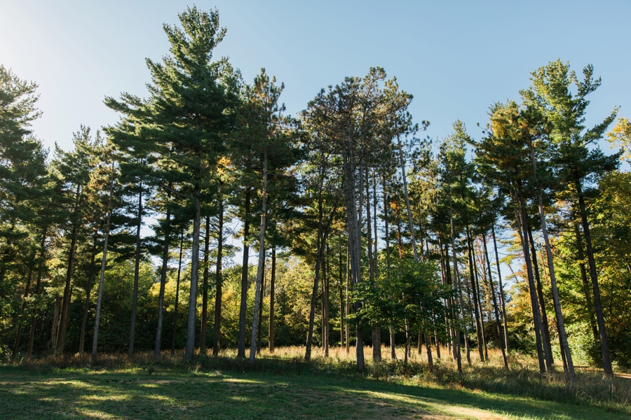 bellefontaine_oh_wedding047